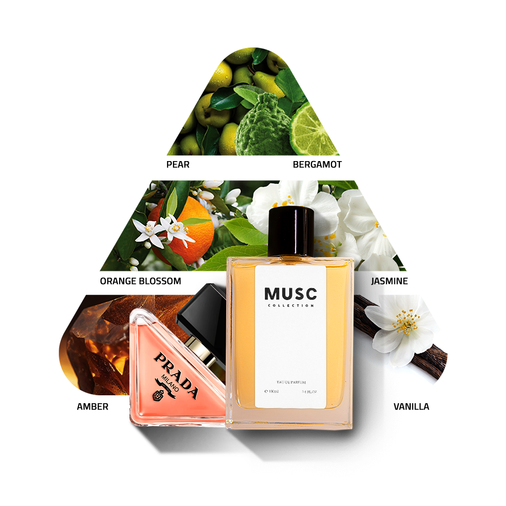 Musc Paradoxe