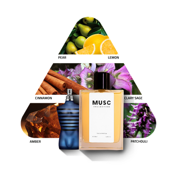 Musc Ultra Male