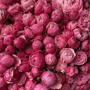 Floral